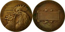World Coins - France, Medal, Société Centrale d'Aviculture de France, 1891, Dropsy