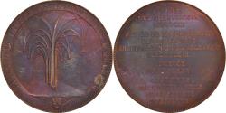 World Coins - France, Medal, Salle des Thèses de l'Université d'Orléans, 1882, Tasset