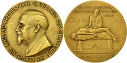 World Coins - France, Medal, Médecine, Professeur E.Villard, Linossier, , Bronze