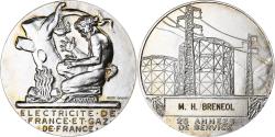 World Coins - France, Medal, Électricité de France et gaz de France, Silvered bronze