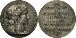 World Coins - France, Medal, Hommage aux Soldats des Vosges, Monument de la Fontenelle, 1920