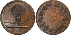 World Coins - France, Medal, Comice Agricole de Clamecy, Nièvre, n.d., Copper,