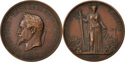 World Coins - France, Medal, Second French Empire, Politics, Society, War, 1867, Borrel.A