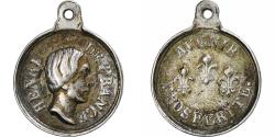 World Coins - France, Medal, Henri V, Avenir, Prospérité, Silvered bronze,