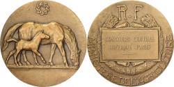 World Coins - France, Medal, Agriculture, Concours Centrale Hippique, Paris, Bronze, Bouchard