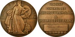 World Coins - France, Medal, Art Déco, Syndicat Général des Maisons d'Alimentation, Baudry