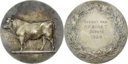 World Coins - France, Medal, Vache, Offert par Mr Binet, Agriculture, 1924, Silvered bronze