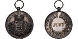 World Coins - France, Medal, Concours Musical, Ville de Blois, 1893, Silver,
