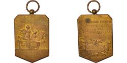 World Coins - France, Medal, Société des Fêtes Sèvriennes, Fédération Orphéonique, Arts