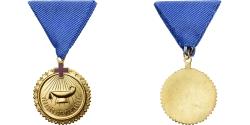 World Coins - Hungary, Croix Rouge, Medal, Excellent Quality, Gilt Metal, 39