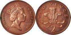 World Coins - Coin, Great Britain, 2 Pence, 1995