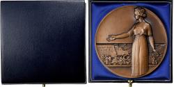 World Coins - France, Medal, La prévention routière, 1977, Bronze, Turin,