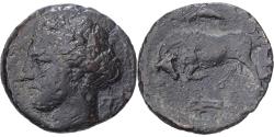 Ancient Coins - Sicily, Agathokles, Litra, 317-289 BC, Syracuse, Bronze,