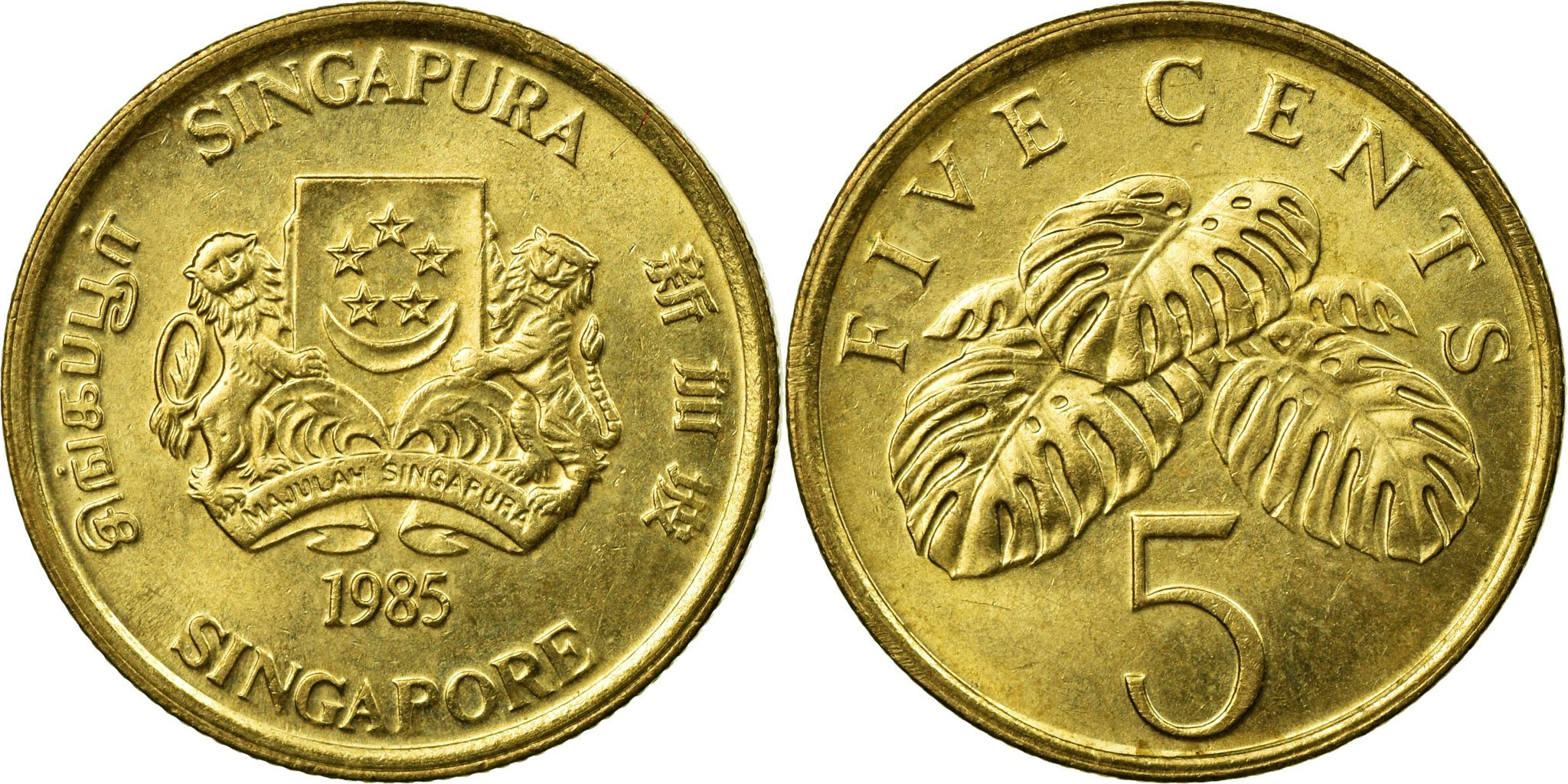 Coin, Singapore, 5 Cents, 1985, British Royal Mint, , Aluminum-Bronze