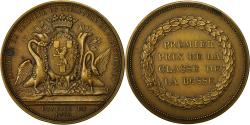 World Coins - France, Medal, Académie de Peinture et Sculpture de Valenciennes, Despujol