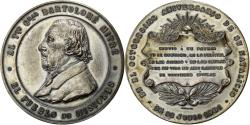 World Coins - Argentina, Medal, President Bartolomé Mitré, 1901, Silver Plated Copper