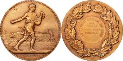 World Coins - France, Medal, French Third Republic, Business & industry, , Bronze