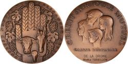World Coins - France, Medal, Crédit Agricole Mutuel, Drôme, Bank, 1977, Baron,