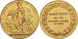 World Coins - France, Medal, Blanchisserie et Teinturerie de Cambrai, Business & industry
