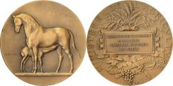 World Coins - France, Medal, Direction des Haras, Concours Central Hippique de Paris, Bronze