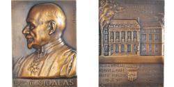World Coins - France, Medal, Professeur Clément Sigalas, Medicine, 1934, Chrétien