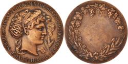 World Coins - France, Medal, Société Nationale d'encouragement à l'agriculture,