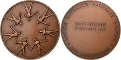World Coins - France, Medal, Société Mutualiste A.C.P.V.G, Saint-Etienne, 1976, Bronze
