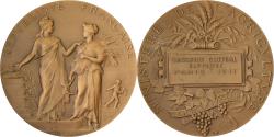 World Coins - France, Medal, Concours Central Hippique de Paris, 1911, Bronze, Alphée Dubois