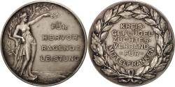 World Coins - Germany, Medal, Für Hervorragendeleistung, Politics, Society, War,