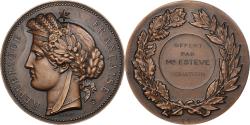 World Coins - France, Medal, Offert par MR. Estève, Sénateur, Politics, 1972, Oudiné