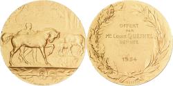 World Coins - France, Medal, Chevaux, Offert pat Louis Quesnel, Député, 1934, Gilt Bronze