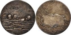 World Coins - France, Medal, Sport, Natation, Silvered bronze, Rasumny,