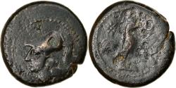 Ancient Coins - Coin, Campania, Teanum, Bronze Æ, 265-240 BC, , Bronze, HN Italy:453