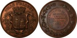 World Coins - France, Medal, Prix Boucher de Perthes, Ville d'Elbeuf, 1887, Lecomte,