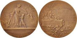 World Coins - France, Medal, French Third Republic, Politics, Society, War, , Bronze