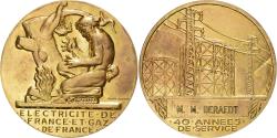World Coins - France, Medal, Électricité de France et gaz de France, Gilt Bronze, Dropsy