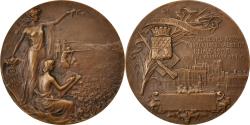 World Coins - France, Medal, French Third Republic, Sports & leisure, 1908, Marey,
