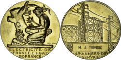 World Coins - France, Medal, Électricité de France et gaz de France, Dropsy, 48 Années de