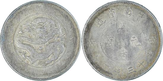 標本 Yunnan China Necydalis s.p 23mm Yunnan China Necydalis s.p 23mm