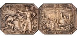 World Coins - France, Medal, Chambre de Commerce de Valenciennes, Business & industry