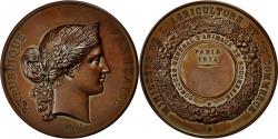 World Coins - France, Medal, Ministère de l'Agriculture et de Commerce, Marianne, 1874