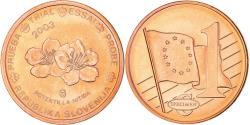 World Coins - Slovenia, Euro Cent, 2003, unofficial private coin, , Copper Plated Steel