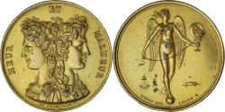 World Coins - France, Medal, Napoléon Ier, Heur et Malheur, Gayrard, , Gilt Bronze