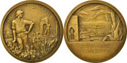 World Coins - Algeria, Medal, Banque, La Compagnie Algérienne, Pommier, , Bronze