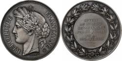 World Coins - France, Medal, Préfet de la Seine-Inférieure, MDP, Silvered bronze, Oudiné