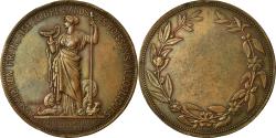 World Coins - France, Medal, Association contre l'Abus des Boissons Alcooliques, 1872