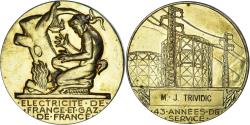 World Coins - France, Medal, Électricité de France et gaz de France, Dropsy, 43 Années de