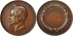 World Coins - France, Medal, Napoléon III, Société d'Agriculture du Pas de Calais, 1868