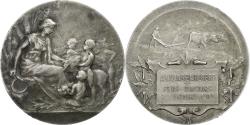 World Coins - France, Medal, Foire-Concours, Moulins-Engilbert, 1910, Silvered bronze, Dubois