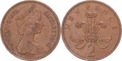 World Coins - Coin, Great Britain, 2 New Pence, 1980